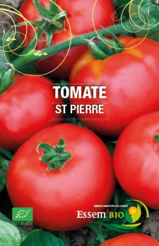 Tomate Saint-Pierre