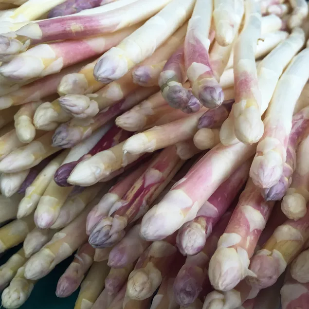 Asperge blanche Argenteuil par 6