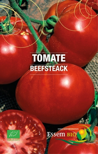 Tomate Beefsteak