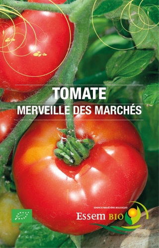 [T21] Tomate Merveille des Marchés