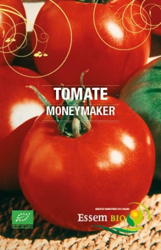 [T22] Tomate Moneymaker
