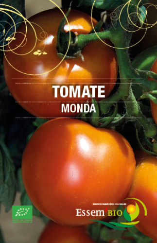 [T23] Tomate Montfavet