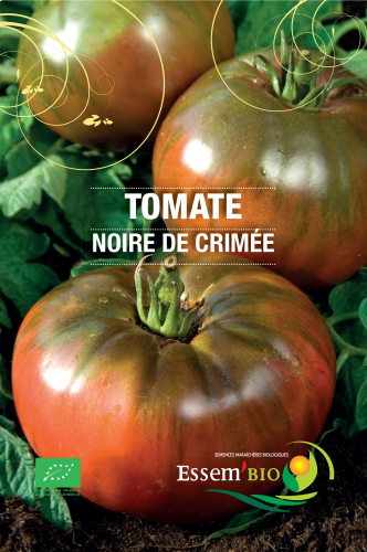 [T24] Tomate Noire de Crimée