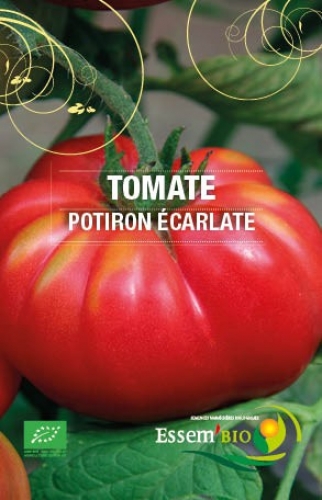 [T25] Tomate Potiron Ecarlate