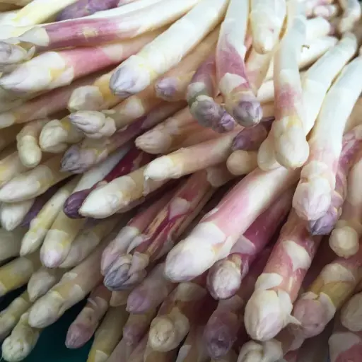 [LP4] Asperge blanche Argenteuil