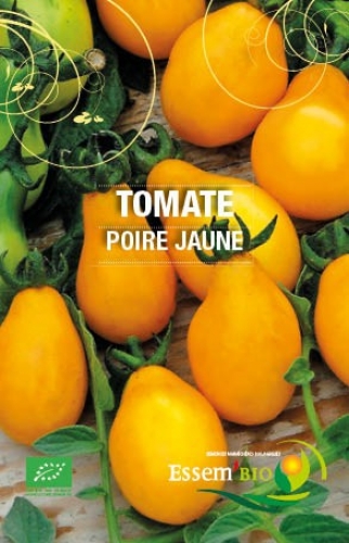 [T5] Tomate cerise Yellow Pearshaped