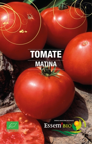 [T11] Tomate précoce Matina