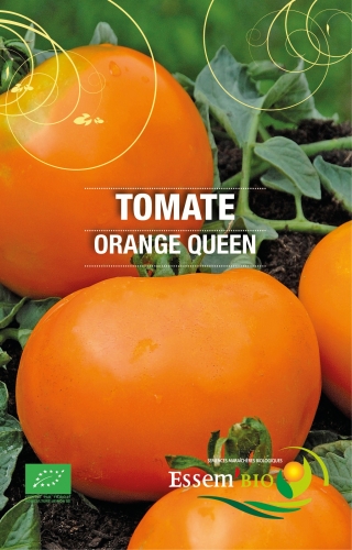 [T12] Tomate précoce Orange Queen