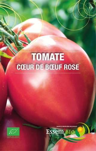 [T17] Tomate Coeur de Boeuf Rose
