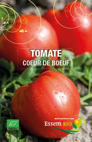 [T18] Tomate Coeur de Boeuf Rouge