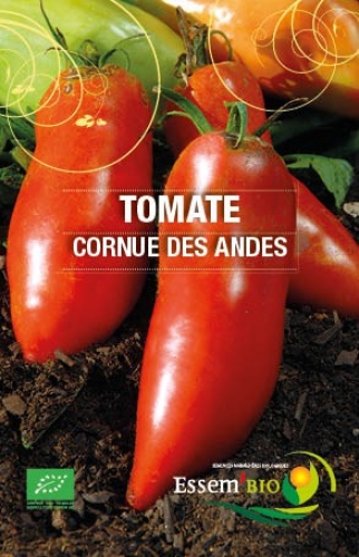 [T19] Tomate Cornue des Andes
